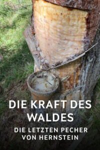 Die Kraft des Waldes – Die letzten Pecher von Hernstein