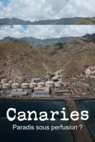 Canaries, paradis sous perfusion ?