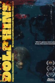 Don’t Fuck With Dolphins