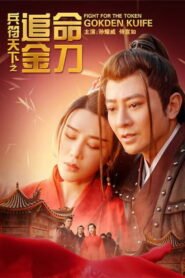 兵符天下之追命金刀