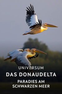 Das Donaudelta – Paradies am Schwarzen Meer