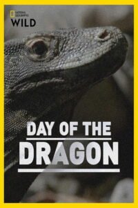 Day of the Dragon